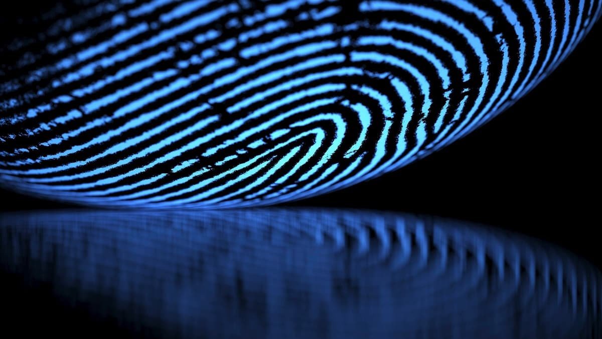 Identidade Visual e Branding: Como Criar uma Marca Forte e Memorável